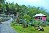 Penginapan Puncak DP - Uima-altaat