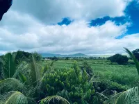 Ingawale Farmhouse (Agro Tourism) - Mountain view