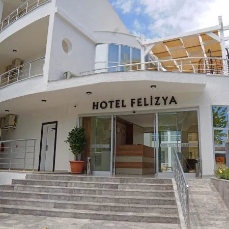 Hotel Felizya