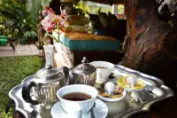 Wielewaal Bush Lodge - breakfast