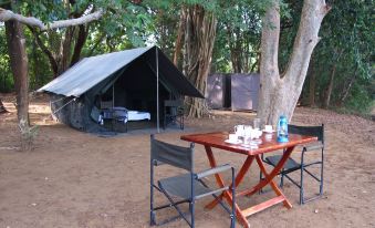Ruhunu Safari Camping - Udawalawe