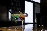 Hotel Gala - bar