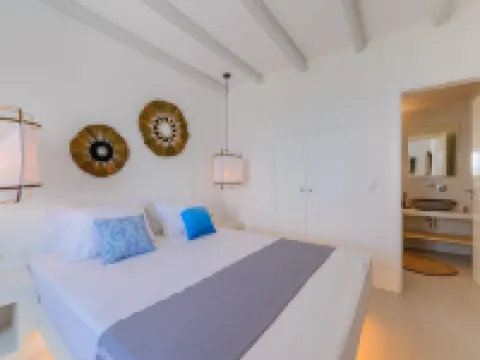 Venti Villa Naxos Hotels in Plaka