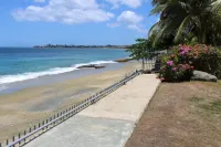 Birdie's Nest - Strand