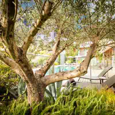 Courtyard Montpellier Hotel Exterior