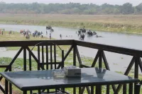 Jungle Wildlife Camp - Scenic