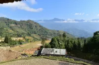 Thong Nguyen Homestay - Hostel
