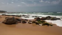Turtle Paradise Hotels in Hambantota