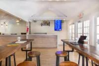 Nyah - Adult Exclusive - bar