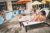 The Kartrite Resort and Indoor Waterpark - Pools