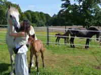 Château des Noces Hotel a Loge-Fougereuse