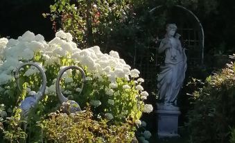 Le Frêne Fringant