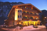 Hotel Ladina Hotels in Campitello di Fassa