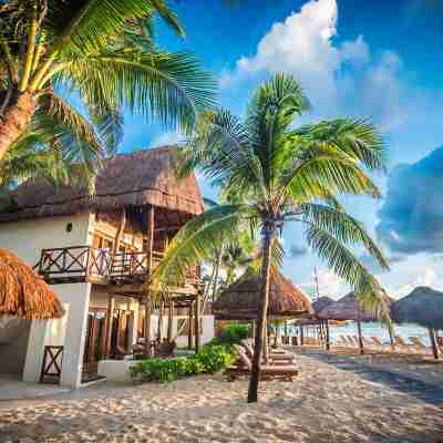 馬赫卡爾海灘前水療度假飯店 Hotel Exterior