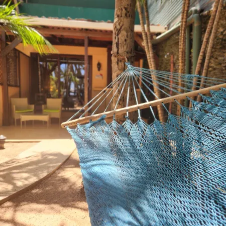 Hotel la Palapa