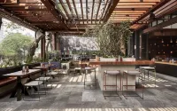 Discovery SCBD