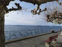 Alte Molke Hôtels à : Meersburg