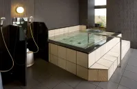 Niigata Daiichi Hotel - spa
