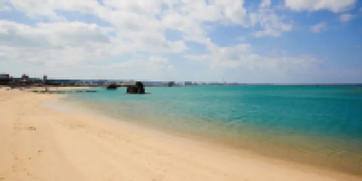 （有）池宮商事