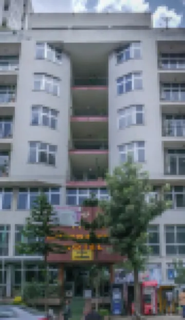 Tirar International Hotel Hotels near Lideta