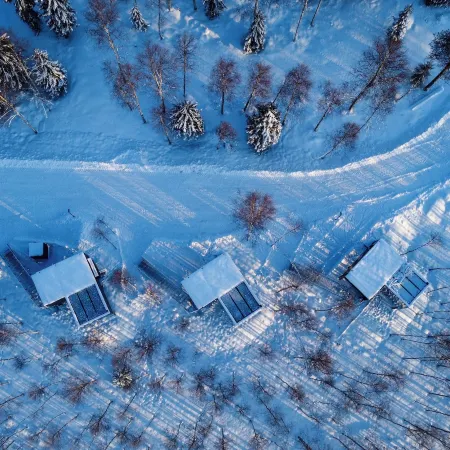 Silver Birch Resort Lapland
