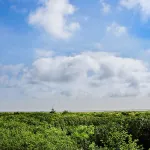 Treasured Cove Condo