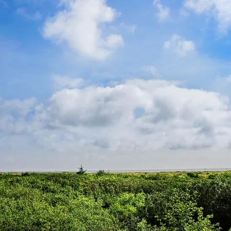 Treasured Cove Condo Отели в г. Ошен Шорс