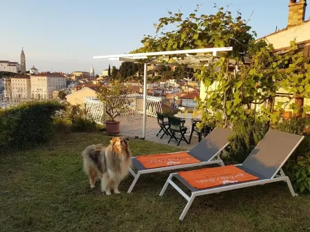 The Best View House Отели в г. Piran