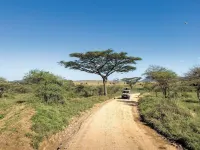 La'Tonna Safari Hotel - 2-Star