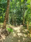 Ecolodge with private beach on the tropical island of Nosy Komba - Madagascar Hotels near Lokobe Nature Special Reserve