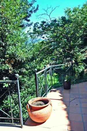 Quinta do Freixieiro - Swimming Pool House