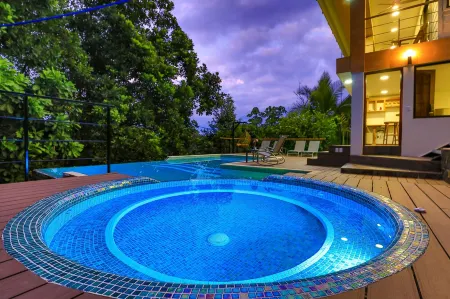 Breathtaking Jungle Views and Abundant Wildlife -  Large pool.