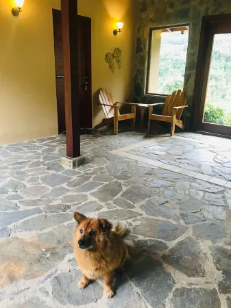 Rejuvenate in our Cajas Biosphere paradise