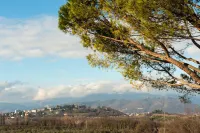 Fantastic country house with a spacious garden Hotels in San Daniele del Friuli