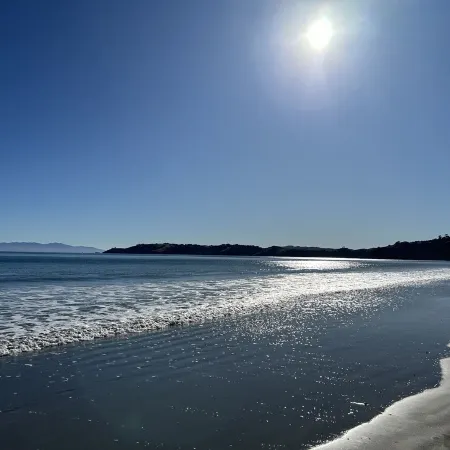 4 Wheel Drive Included. 5-Minute Walk from Ferry to Car.Hot on Arrival Spa Pool Отели рядом с достопримечательностью «Уаихеке»