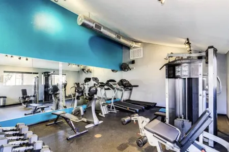 Old Town Scottsdale dream home