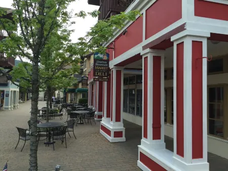 SKI IN / SKI OUT at base of Tamarack Lift, Walk to Village, Condo for 2 Families Отели рядом с достопримечательностью «Stratton Mountain»