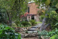Wild Olive Cottage  Clare Valley