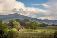 Vacation apartment II Am Holzlachgraben - perfect for up to 7 people Hotels in Alsbach-Hahnlein