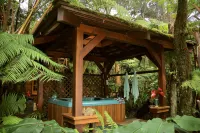 Volcano Rainforest Retreat - Rum och frukost