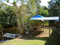 Jacamar Lodge Expeditions Hôtels à : 