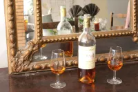 Friendly Auberge Hotels in Colomiers