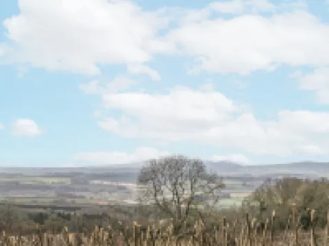 Pheasants Rise Apartment Hotels in Ross-on-Wye