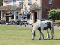 Foxes Earth Hotels in Copythorne