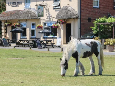 Foxes Earth Отели в г. Уайтпэриш