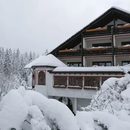 Hotel Waldblick Kniebis
