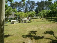 Hotel la Costera - Beach