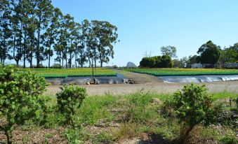 Beerwah Glasshouse Motel