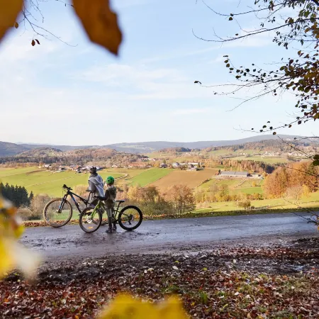 Ferienwohnungen Wald Und Wiese