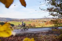 Ferienwohnungen Wald Und Wiese Hotels in Breitenberg